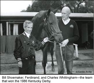 shoeferdinandwhittingham